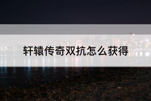 轩辕传奇双抗怎么获得