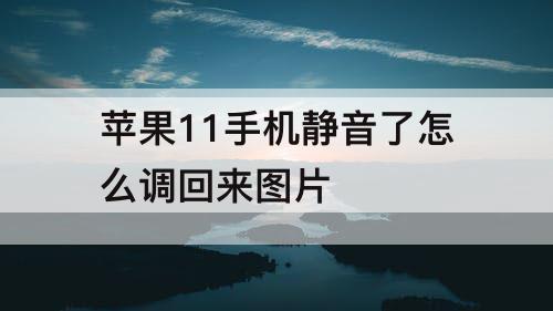 苹果11手机静音了怎么调回来图片