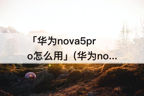 「华为nova5pro怎么用」(华为nova5Pro怎么用微信分身)
