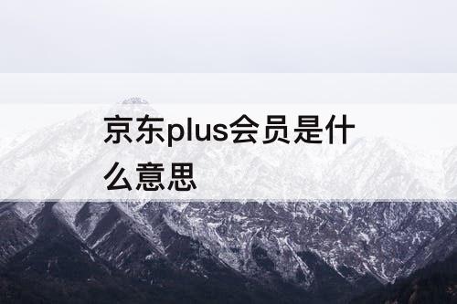 京东plus会员是什么意思