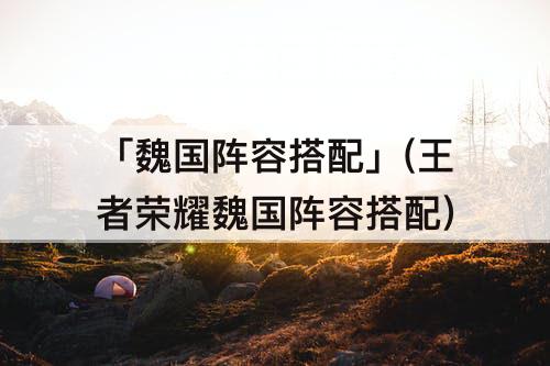「魏国阵容搭配」(王者荣耀魏国阵容搭配)