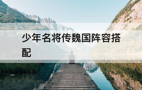 少年名将传魏国阵容搭配
