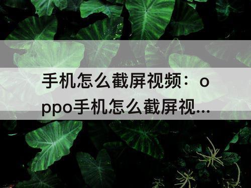 手机怎么截屏视频：oppo手机怎么截屏视频 新闻
