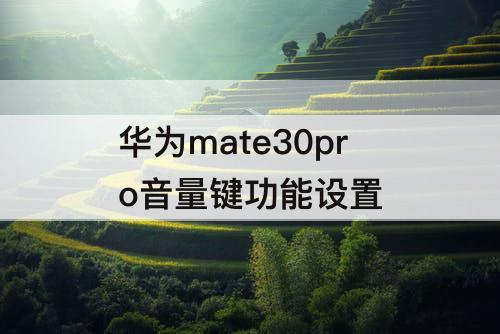 华为mate30pro音量键功能设置