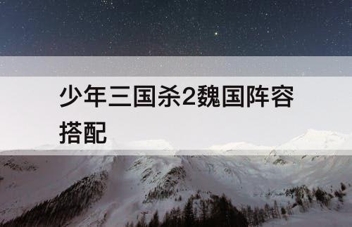 少年三国杀2魏国阵容搭配