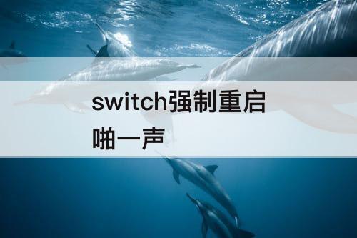 switch强制重启啪一声