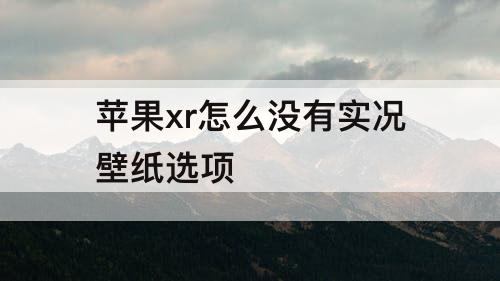 苹果xr怎么没有实况壁纸选项