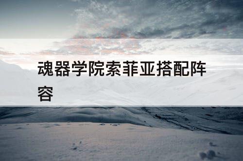 魂器学院索菲亚搭配阵容