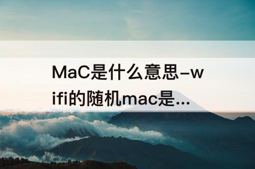 MaC是什么意思-wifi的随机mac是什么意思