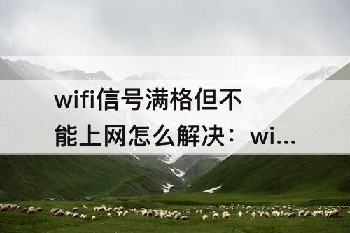 wifi信号满格但不能上网怎么解决：wifi信号满格但不能上网怎么解决oppoa5