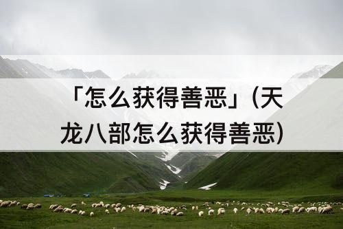 「怎么获得善恶」(天龙八部怎么获得善恶)