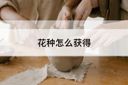 花种怎么获得