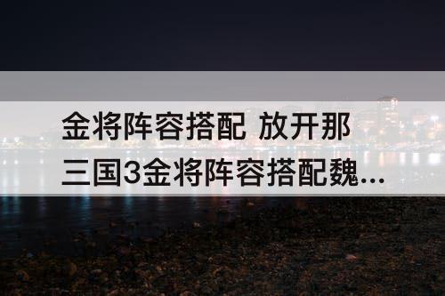 金将阵容搭配 放开那三国3金将阵容搭配魏国