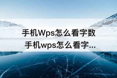手机Wps怎么看字数 手机wps怎么看字数不算标点符号