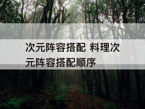 次元阵容搭配 料理次元阵容搭配顺序