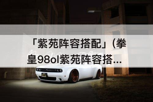 「紫苑阵容搭配」(拳皇98ol紫苑阵容搭配)