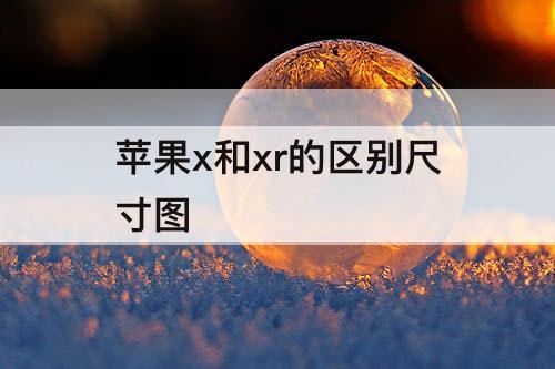 苹果x和xr的区别尺寸图
