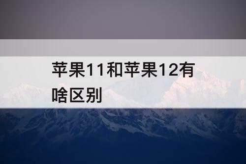 苹果11和苹果12有啥区别
