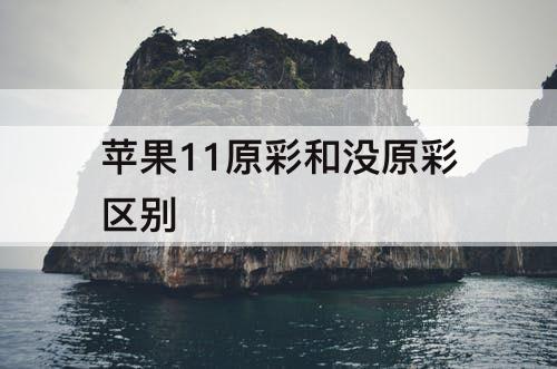 苹果11原彩和没原彩区别