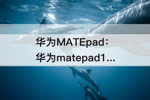 华为MATEpad：华为matepad11怎样分屏操作