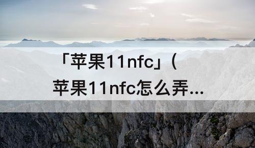 「苹果11nfc」(苹果11nfc怎么弄到控制中心里)