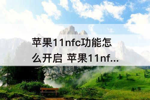 苹果11nfc功能怎么开启 苹果11nfc功能怎么开启校园卡