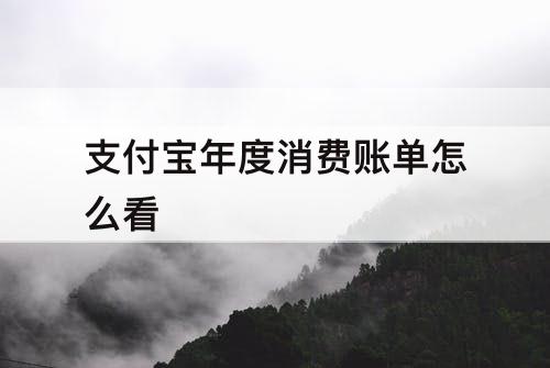 支付宝年度消费账单怎么看