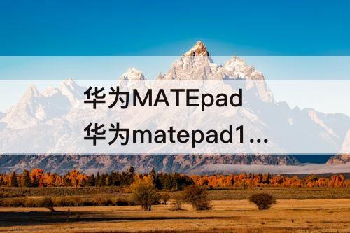 华为MATEpad 华为matepad11长截图