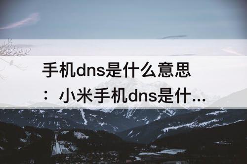 手机dns是什么意思：小米手机dns是什么意思