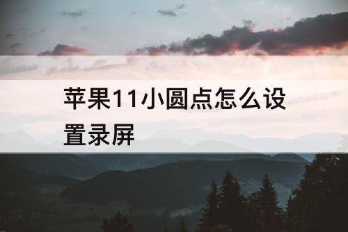 苹果11小圆点怎么设置录屏