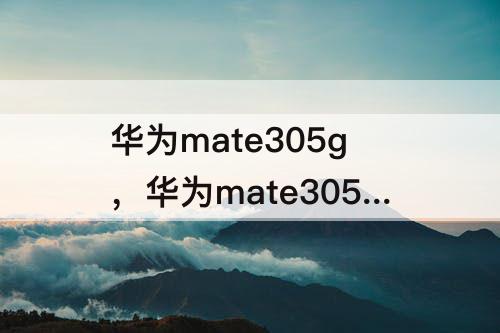 华为mate305g，华为mate305g手机参数版本