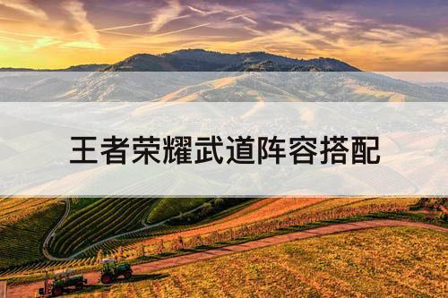 王者荣耀武道阵容搭配