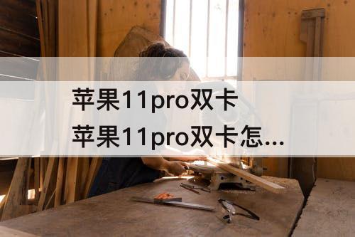 苹果11pro双卡 苹果11pro双卡怎么使用
