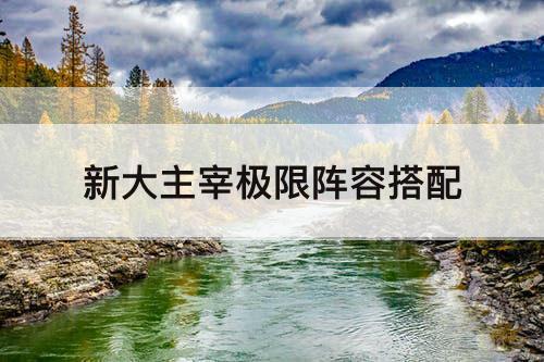 新大主宰极限阵容搭配