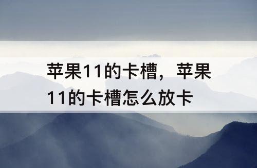 苹果11的卡槽，苹果11的卡槽怎么放卡