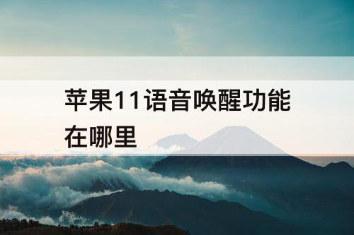 苹果11语音唤醒功能在哪里
