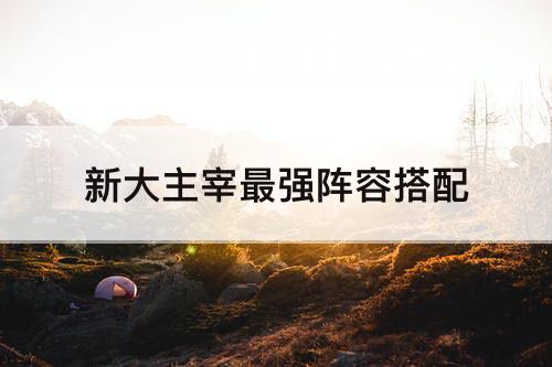 新大主宰最强阵容搭配