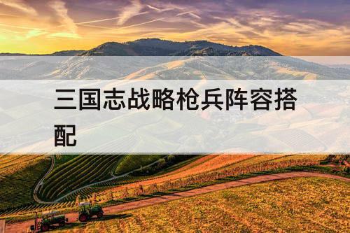 三国志战略枪兵阵容搭配