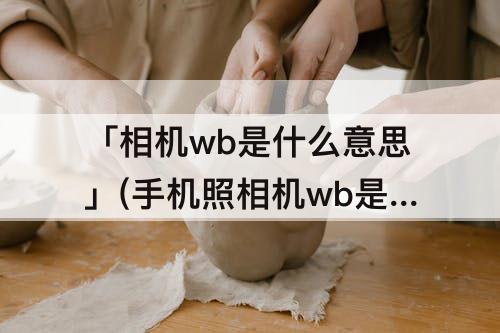 「相机wb是什么意思」(手机照相机wb是什么意思)