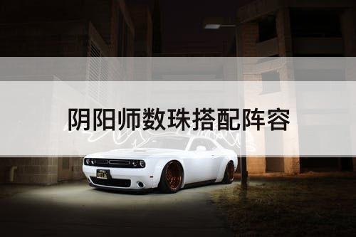 阴阳师数珠搭配阵容