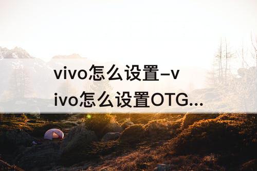 vivo怎么设置-vivo怎么设置OTG功能