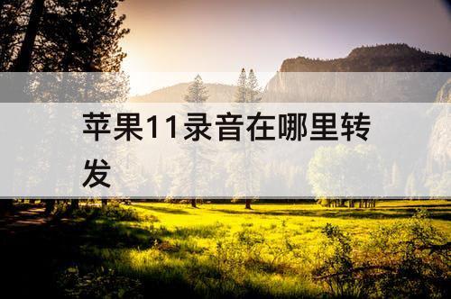 苹果11录音在哪里转发