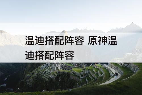 温迪搭配阵容 原神温迪搭配阵容