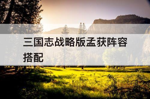 三国志战略版孟获阵容搭配