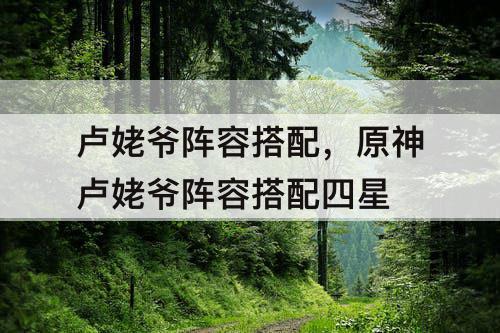卢姥爷阵容搭配，原神卢姥爷阵容搭配四星