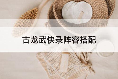 古龙武侠录阵容搭配