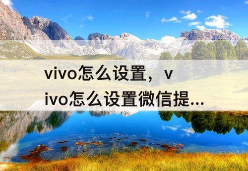 vivo怎么设置，vivo怎么设置微信提示音