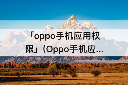 「oppo手机应用权限」(Oppo手机应用权限怎么打开)