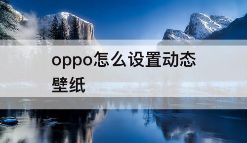 oppo怎么设置动态壁纸