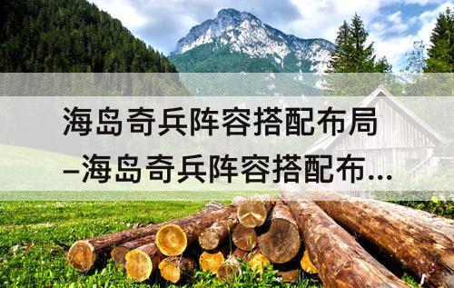 海岛奇兵阵容搭配布局-海岛奇兵阵容搭配布局21级